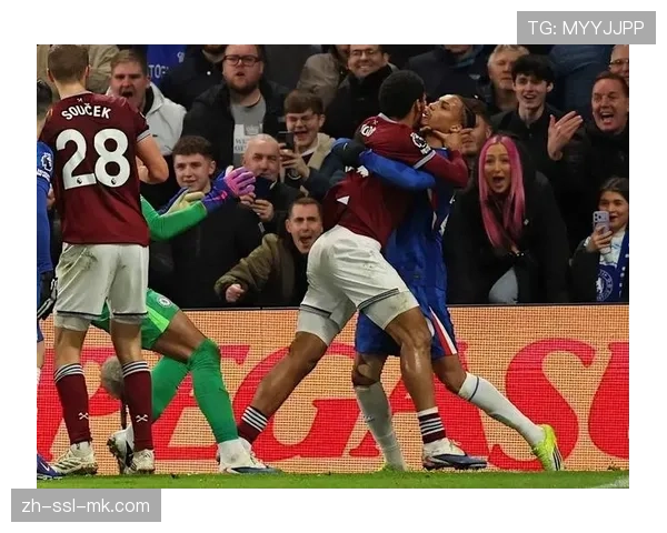 英足总就西汉姆联与水晶宫比赛中的看台冲突事件展开调查 英足总就西汉姆联与水晶宫比赛中的看台冲突事件展开调查